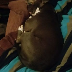 Meet your Posher, Cole